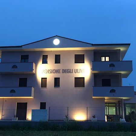 Pensione Degli Ulivi Porto SantʼElpidio Εξωτερικό φωτογραφία