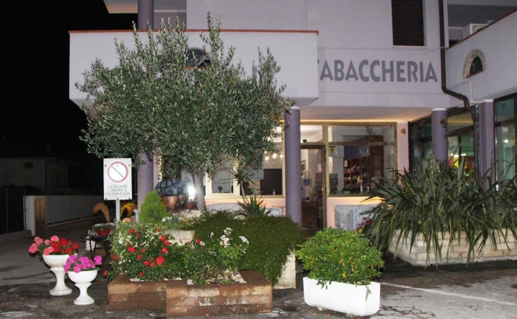 Pensione Degli Ulivi Porto SantʼElpidio Εξωτερικό φωτογραφία