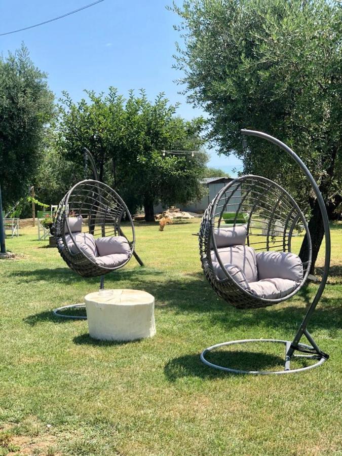 Pensione Degli Ulivi Porto SantʼElpidio Εξωτερικό φωτογραφία