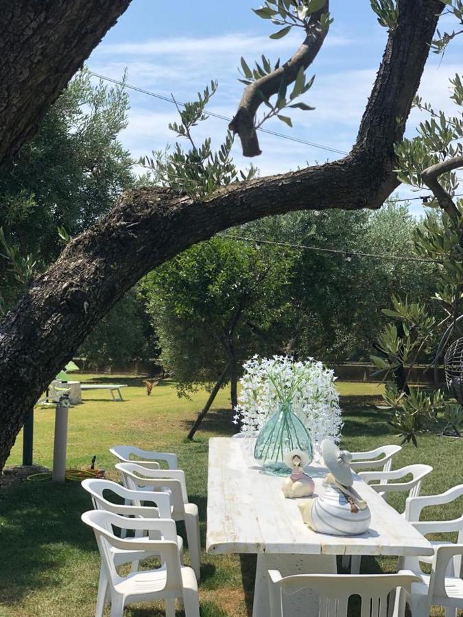 Pensione Degli Ulivi Porto SantʼElpidio Εξωτερικό φωτογραφία