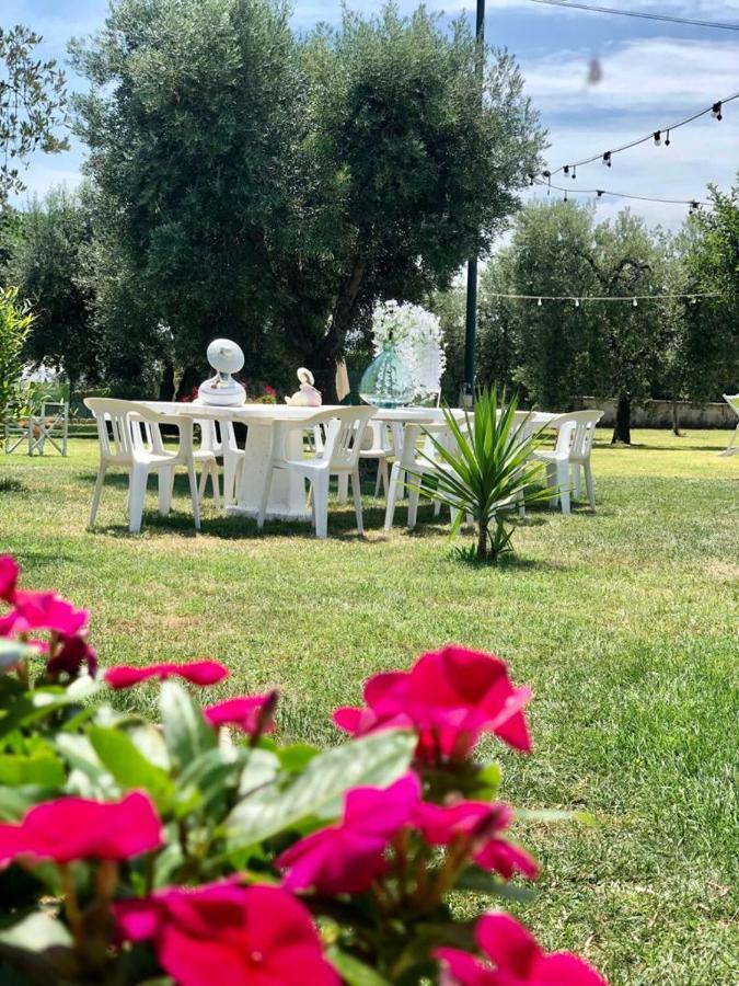 Pensione Degli Ulivi Porto SantʼElpidio Εξωτερικό φωτογραφία