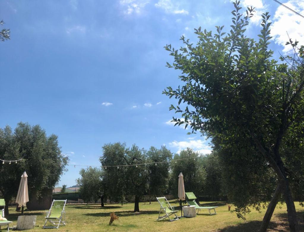 Pensione Degli Ulivi Porto SantʼElpidio Εξωτερικό φωτογραφία
