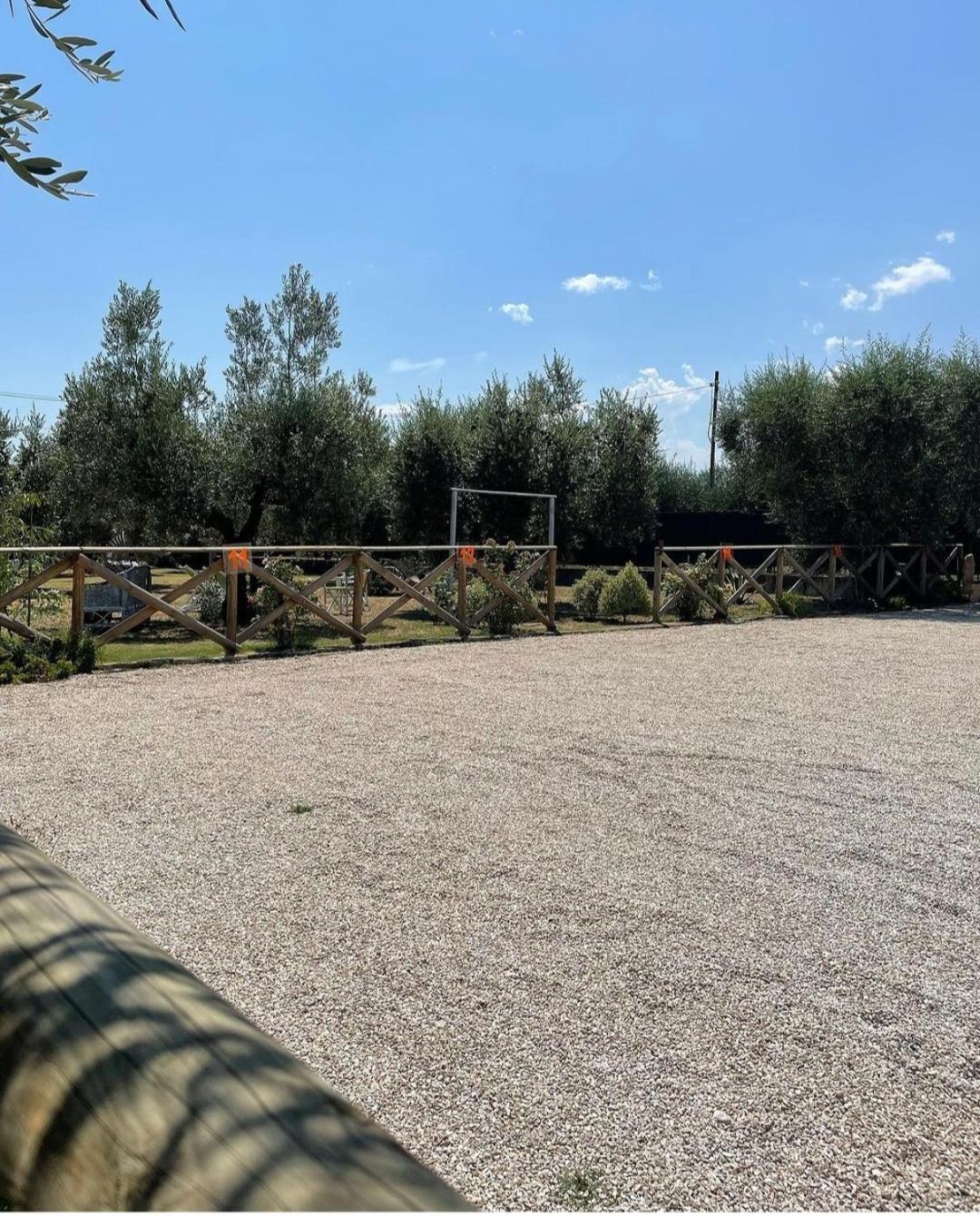 Pensione Degli Ulivi Porto SantʼElpidio Εξωτερικό φωτογραφία