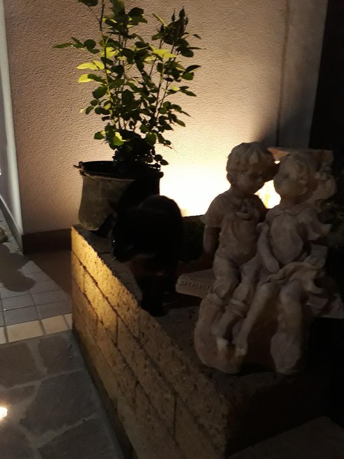 Pensione Degli Ulivi Porto SantʼElpidio Εξωτερικό φωτογραφία
